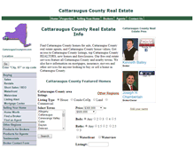 Tablet Screenshot of cattarauguscountyinfo.com